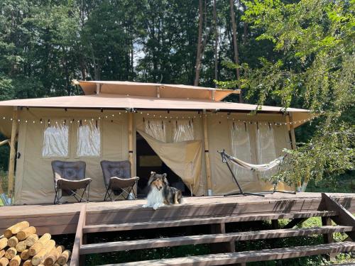 Camp inn Kiyosato GRANDEUR - Vacation STAY 42081v