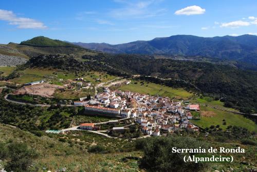  Cruzchiquita in Alpandeire