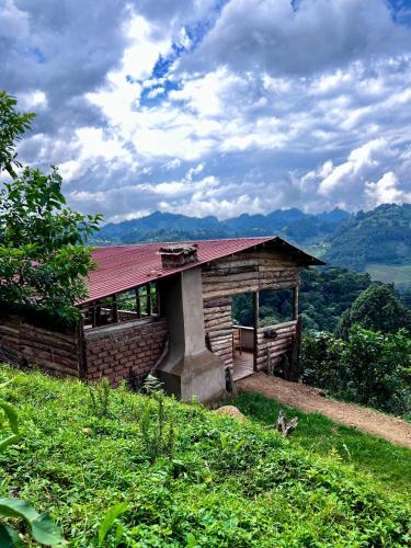 . Migogo Gorilla Lodge