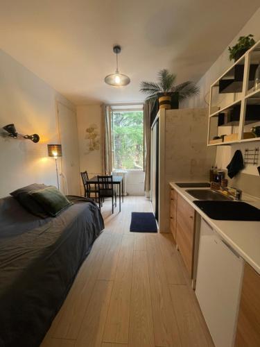Small studio in an old palace in Aix-les-Bains