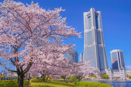 Activités à proximité, 横浜中華街,山下公園へ徒歩ですぐ,清潔,静か,快適なアパートメント,ふかふかベッド3名まで,洗濯乾燥機完備 (横浜中華街,山下公園へ徒歩ですぐ,清潔,静か,快適なアパートメント,ふかふかベッド3名まで,洗濯乾燥機完備) in Motomachi