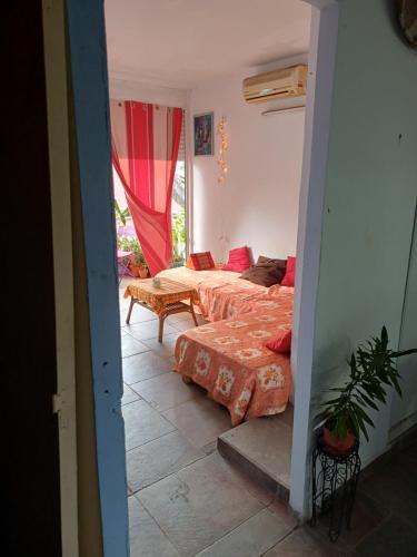 Chez Brahim - Chambre d'hôtes - Pointe-à-Pitre