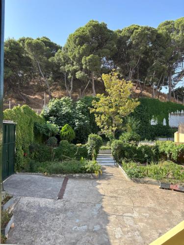 Family home with pool and garden in Tudela center gîte à louer Tudela