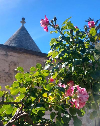 Il trullo delle rose