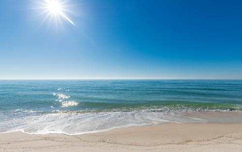 Phoenix X 513 – khách sạn tại Perdido Beach
