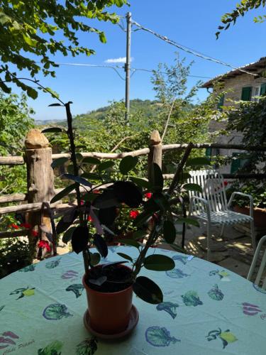 Casa del Falco in Castelnovo neʼ Monti