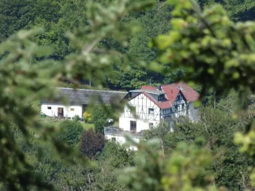 Apartment in Waldbreitbach mit Whirlpool by Interhome in Waldbreitbach, Deutschland