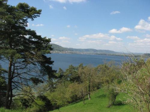Apartment Idyllische Ferienwohnung in Sipplingen am Bodensee by Interhome in ซิพพลินเกน