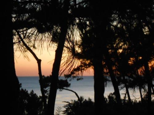 La Palombière - Location saisonnière - Saint-Palais-sur-Mer