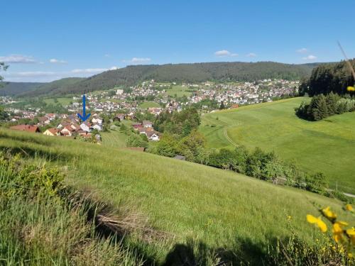 Apartment Schwarzwald Idylle by Interhome in Baiersbronn, Deutschland