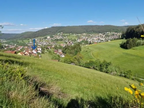 Apartment Schwarzwald Idylle by Interhome in Baiersbronn, Deutschland