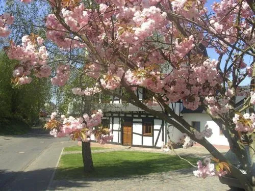 Holiday Home Romantisches Fachwerkhaus zwischen Rhein und Mosel by Interhome in Heyweiler, Deutschland