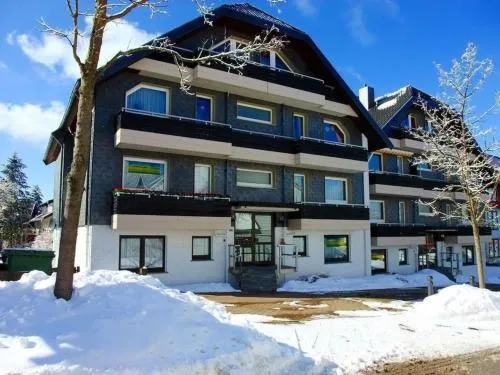 Apartment Ferienwohnung mit Boxspringbett by Interhome in Hahnenklee-Bockswiese, Deutschland