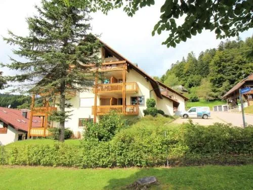 Apartment Kuschelnest Oase by Interhome in Todtmoos, Deutschland