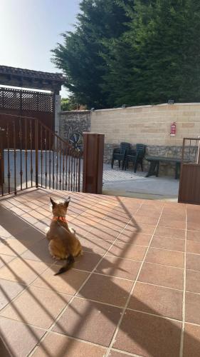 Ieeja, la finca in Santo Tomé del Puerto