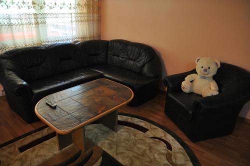 Vannas istaba, Cabana Ovidiu in Riu De Mori