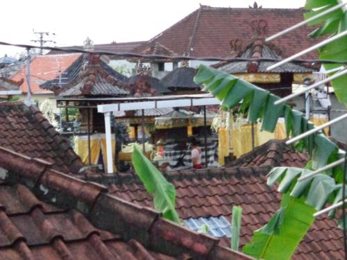 Yulia 1 – Sanur, CO