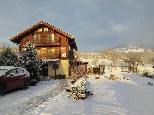 Pensiunea Dorel Codoban