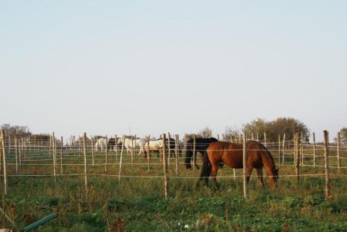 Agriturismo Murà