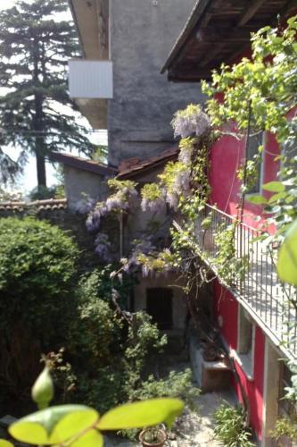 Apartment Wohnung 'Glicine' mit Wasserblick by Interhome in Miasino