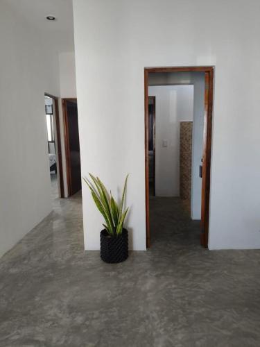 La Conchita de Sisal 7 in Sisal