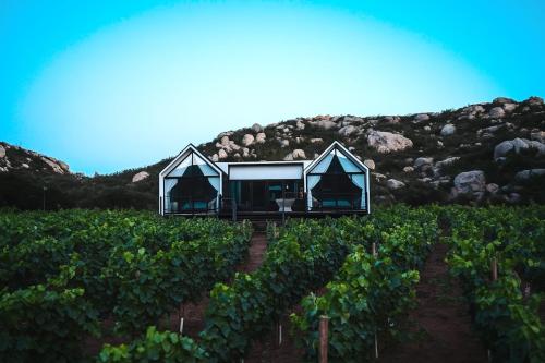 OENO WINE LODGE Valle de Guadalupe in El Porvenir