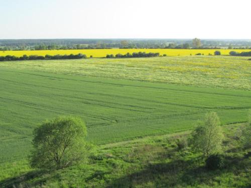 Holiday Home - Uns lütt Hüsung by Interhome (Holiday Home - Uns lutt Husung by Interhome) in Lowenberger Land