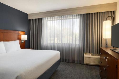 Suite, 1 King, Sofa bed