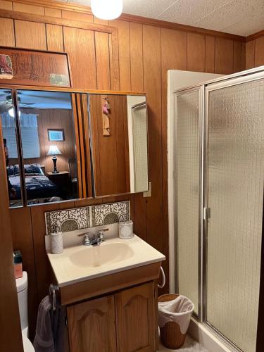 Twain Harte Cozy cabin downtown in Tvenharta (CA)