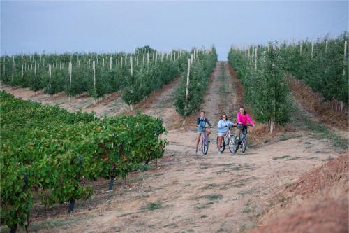 Quinta da Barroca - image 5