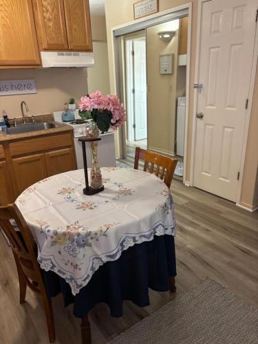 A2 Studio, Mins to Downtown, UofM, Hospitals, Restaurants & Stadium in Ann Arbor (MI)