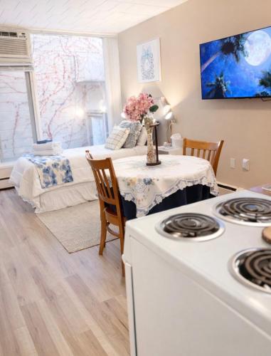 A2 Studio, Mins to Downtown, UofM, Hospitals, Restaurants & Stadium in Ann Arbor (MI)