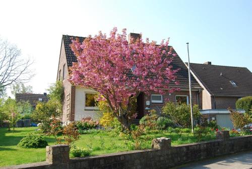 Lütje Stuv - Lütjenburger Weg 65 OG – khách sạn tại Oldenburg in Holstein