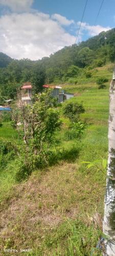 Parampara farm stay - image 2