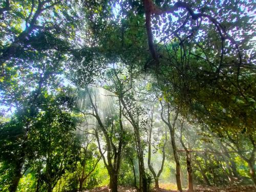 Dhupchaya Nature Retreat  in 랑가마티
