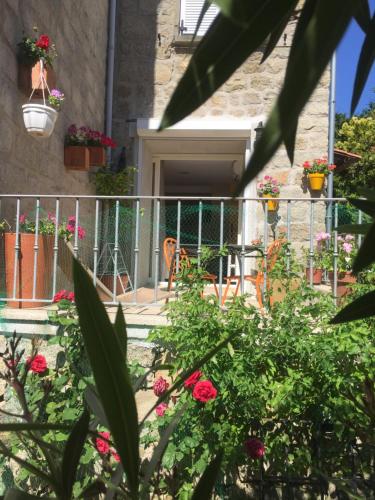 Maison de Vacances - Casa Mezanaccia avec Terrasse fleurie meublé tourisme 3 étoiles - Plateau du Coscione