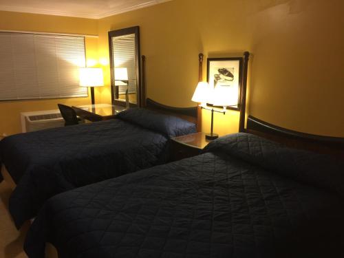 Dragon INN & Suites - image 3