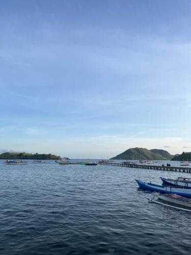 Fanni tour komodo in Pangguh