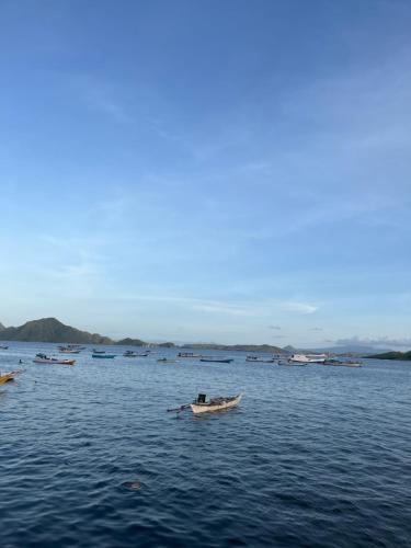 Fanni tour komodo in Pangguh