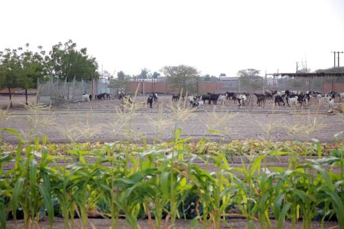 Farm house with all facilities in Al Dhaid , sharjah – khách sạn tại Al Dhaid