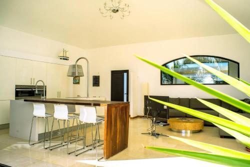 Casa Paloma with heated pool in El Roque 5
