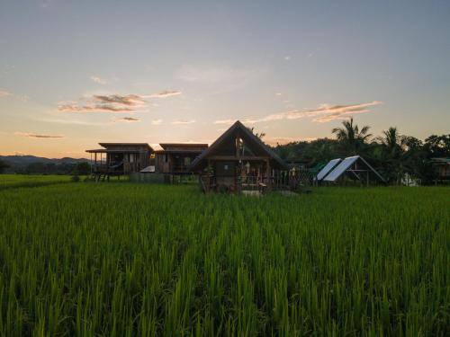 Exterior view, Ricefield Homestay มองนาภูคาน่านโฮมสเตย์ in Tha Wang Pha