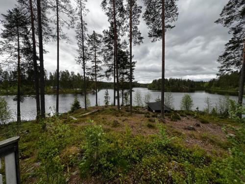 Huvikumpu - image 8