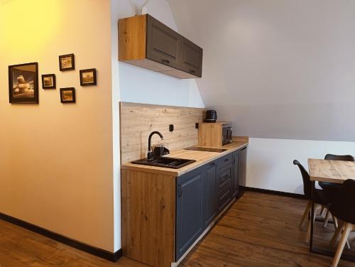 Apartament Szklarska Panorama, Szklarska Poręba (foto 9)