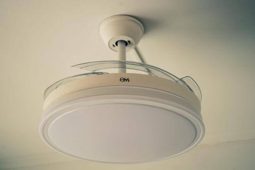 Perla11 MDQ - image 4