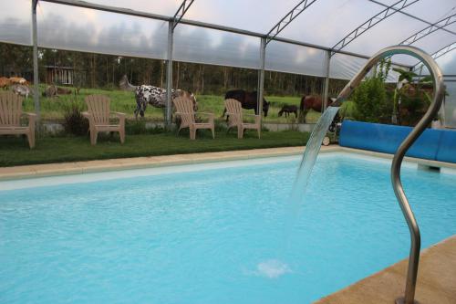 Vistas, Haras El Despertar in Paso de la Arena