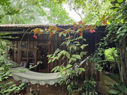 Landscape-Cabana winter full equipada in La Cruz