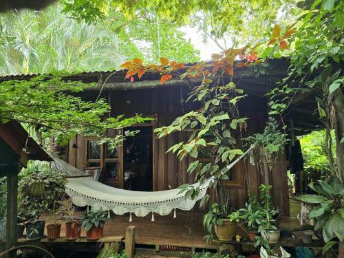Landscape-Cabana winter full equipada in La Cruz