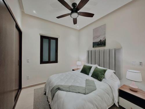 OVATA 402 - ZONA ROMANTICA - image 2