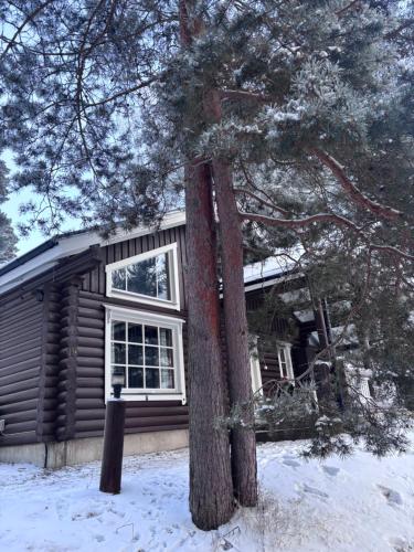 Latvahonka Cottage, Jämsä